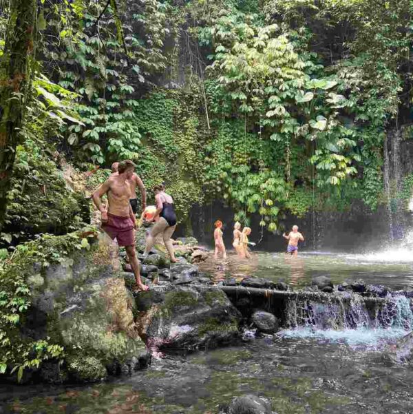 bali waterfall